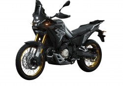 VOGE DS800X RALLY