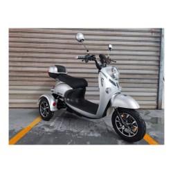 E-RIDE FALCON LEAD ACID