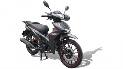 UM FLASH 125 LZ