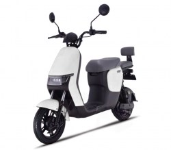 DAYTONA SAIGE 50