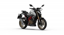 MORBIDELLI N300