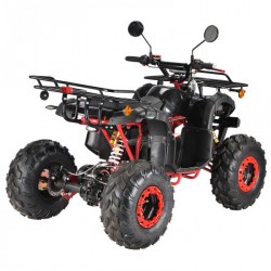 ΗΛΕΚΤΡΙΚΗ ΓΟΥΡΟΥΝΑ E-ATV 2000W